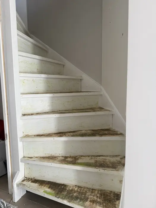 Trap vóór de renovatie